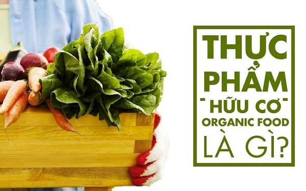Thực phẩm hữu cơ là gì? Thực phẩm hữu cơ Organic có tốt cho sức khỏe
